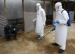 Ebola: la France déconseille les déplacements au Mali
