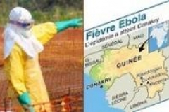 Un premier essai clinique de traitement contre Ebola en Guinée